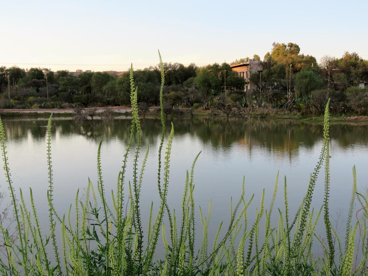 Hacienda Tovares Cadereyta de Montes Eksteriør billede